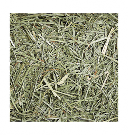 Sunseed Sunseed Sunsations Natural Timothy Hay 56 OZ