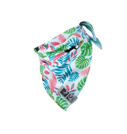 RC Pets RC Pets Zephyr Cooling Bandana S Toucan