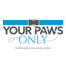 for your paws only For Your Paws Only REGULAR Collar - XSmall