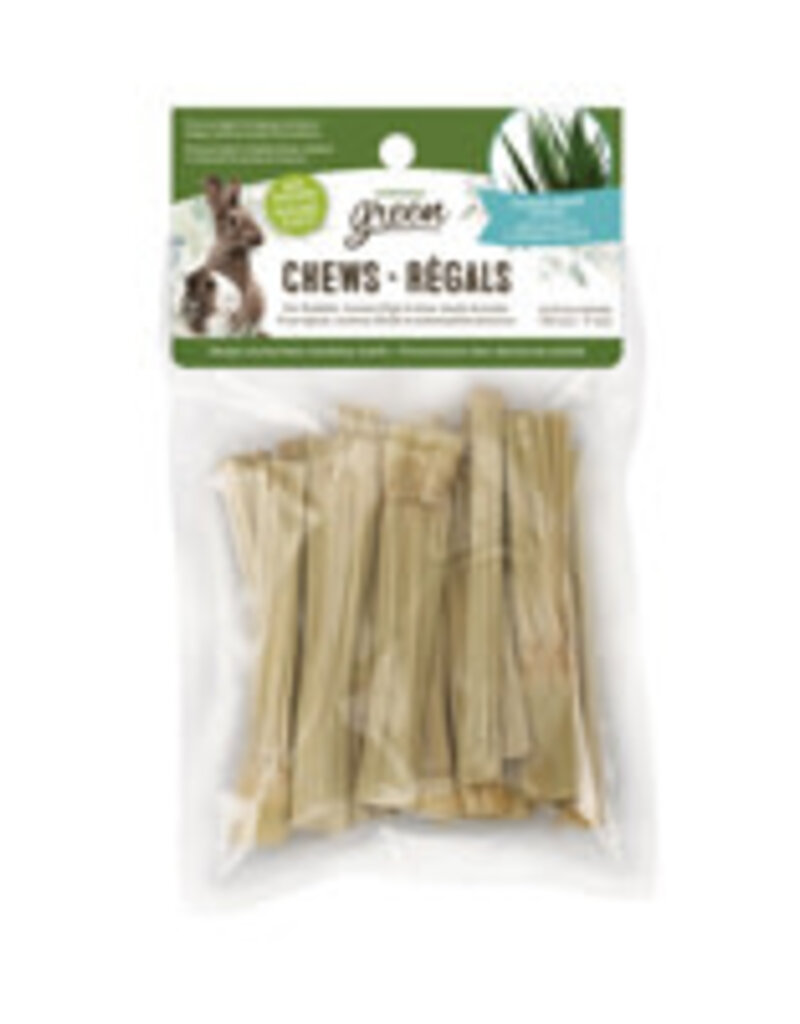 Living World Green Small Animal Chews - Napier Grass Sticks - 20 pack