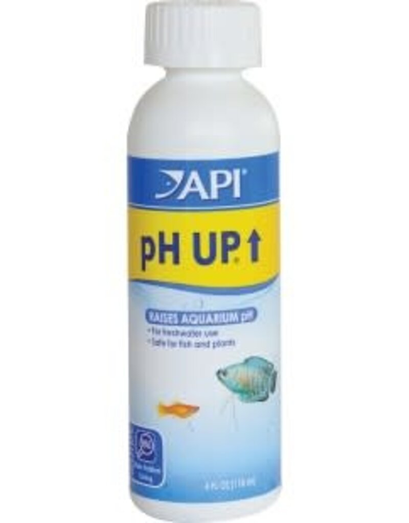 API API pH UP 4oz