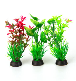 Aqua-Fit Aqua-Fit Assorted Plastic Plant 3" - 3pk