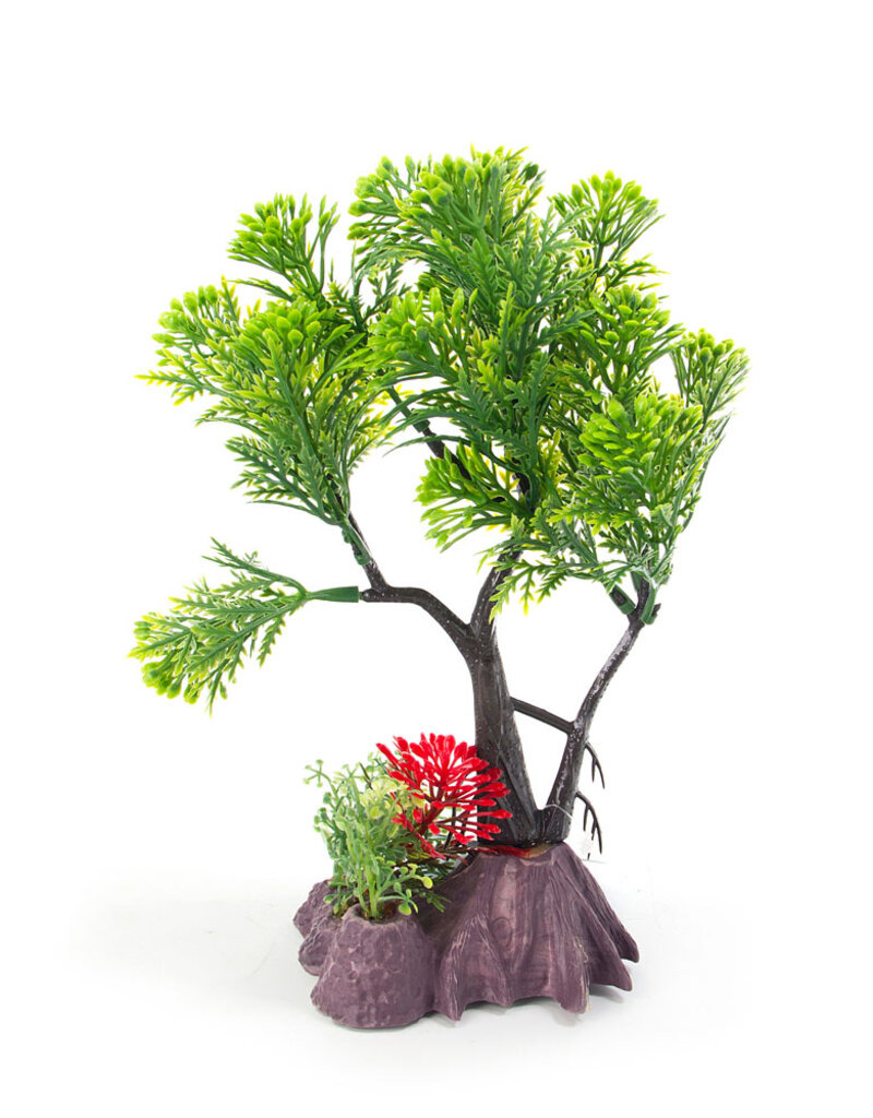 Aqua-Fit Aqua-Fit Green Pine Bonsai Plastic Plant 7"