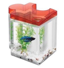 Aqueon Aqueon Betta Puzzle Aquarium Kit - Red