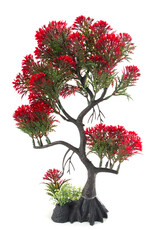 Aqua-Fit Aqua-Fit Red Pine Bonsai Plastic Plant 11"