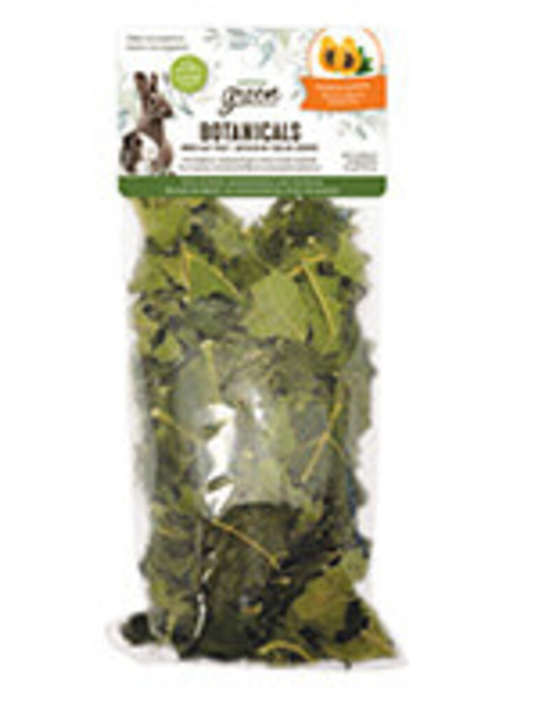 Living World Green Botanicals Dried Leaf Treat - Papaya Leaves - 10 g (0.35 oz)