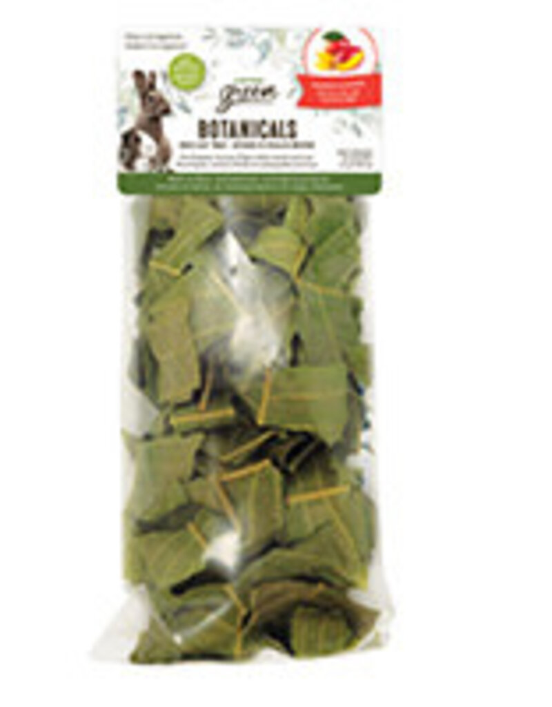 Living World Green Botanicals Dried Leaf Treat - Mango Leaves - 10 g (0.35 oz)