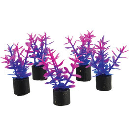Underwater Treasures Underwater Treasures Mini Plant - Violet - 1.5" - 5 pk