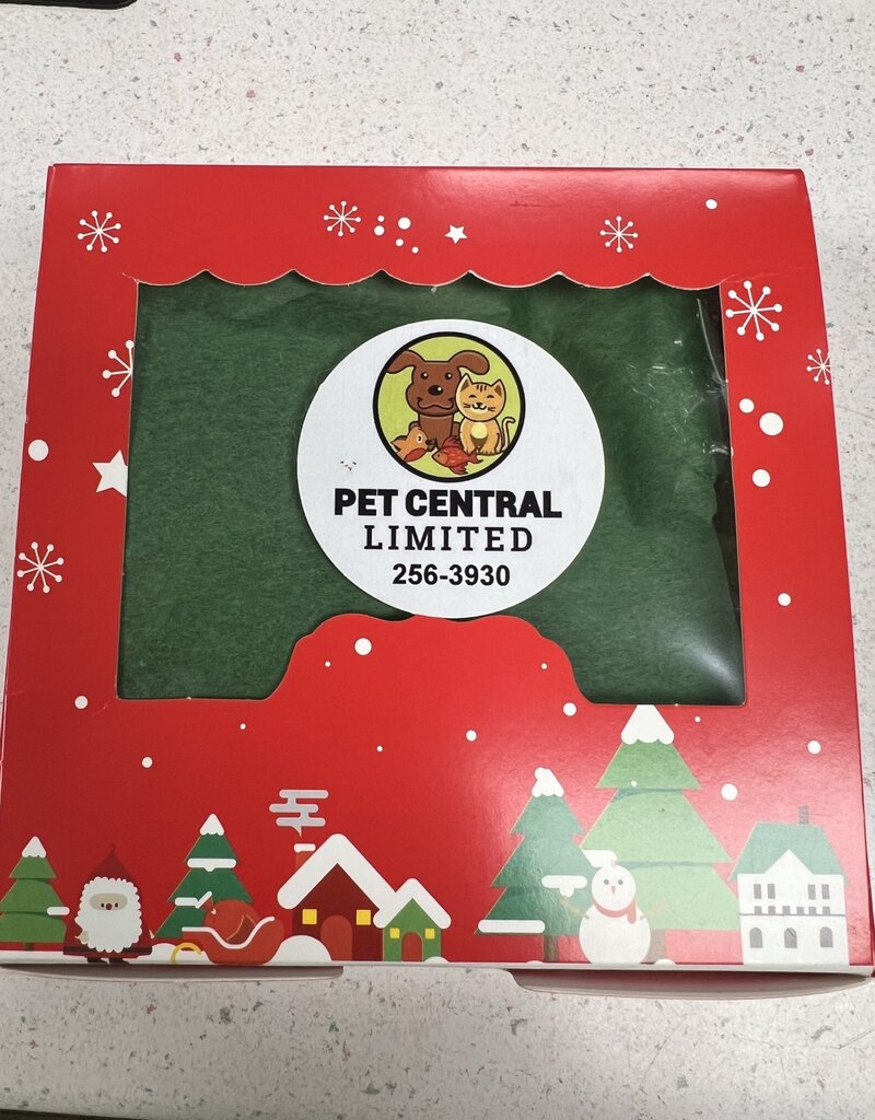 Christmas Gift Treat Box