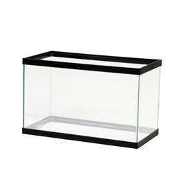 Aqueon Aqueon Standard Glass Rectangle Aquarium Black - 10 Gallon