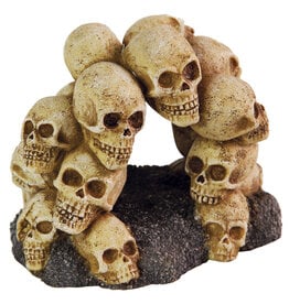 Aqua-Fit Aqua-Fit Polyresin Skull Arch 5.25x4x4"