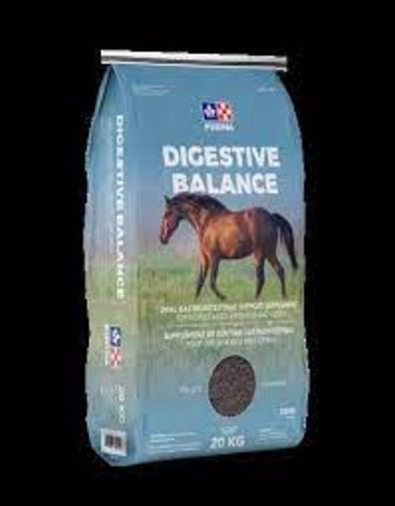 Purina Digestive Balance Horse Feed 25kg (Order by request only)