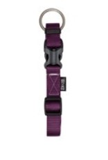 Zeus Adjustable Nylon Dog Collar - Royal Purple -  XLarge