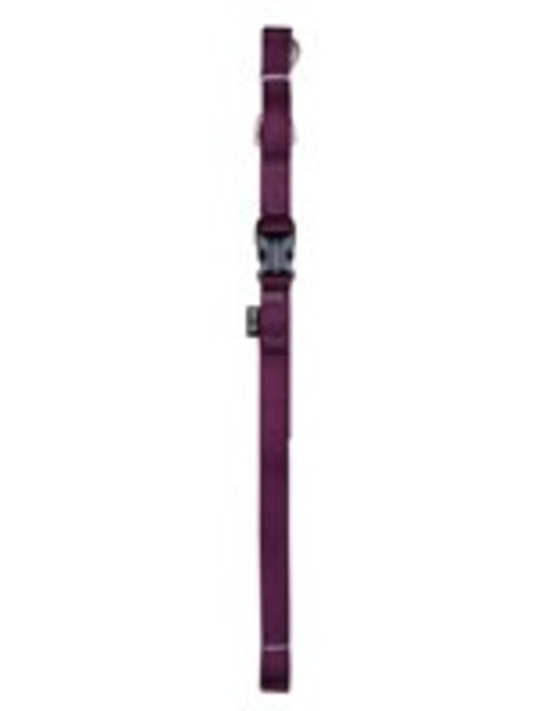 Zeus Nylon Leash - Royal Purple - Large - 1.8 m (6 ft)