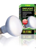 Exo Terra Exo Terra Daylight Basking Spot Lamp - R20 / 75 W