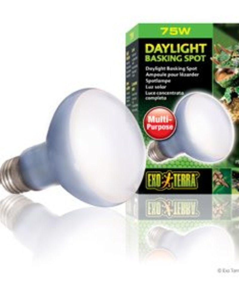 Exo Terra Exo Terra Daylight Basking Spot Lamp - R20 / 75 W