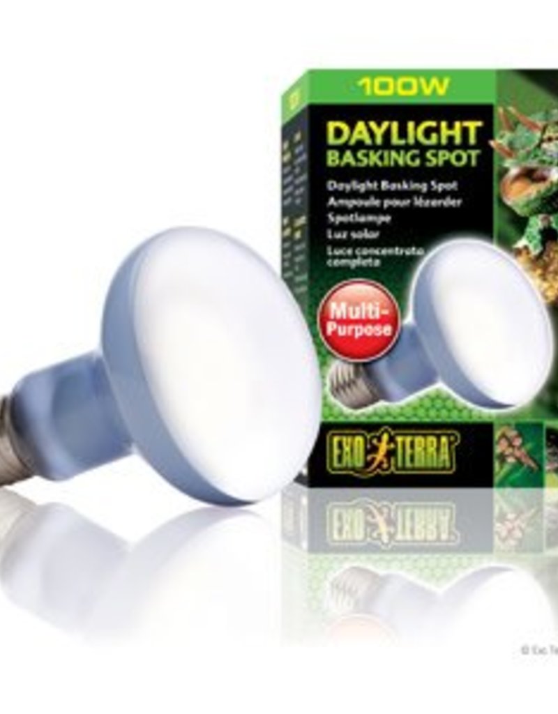 Exo Terra Exo Terra Daylight Basking Spot Lamp - R25 / 100 W