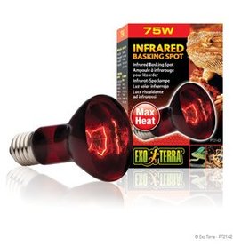 Exo Terra Exo Terra Infrared Basking Spot - R20 / 75W