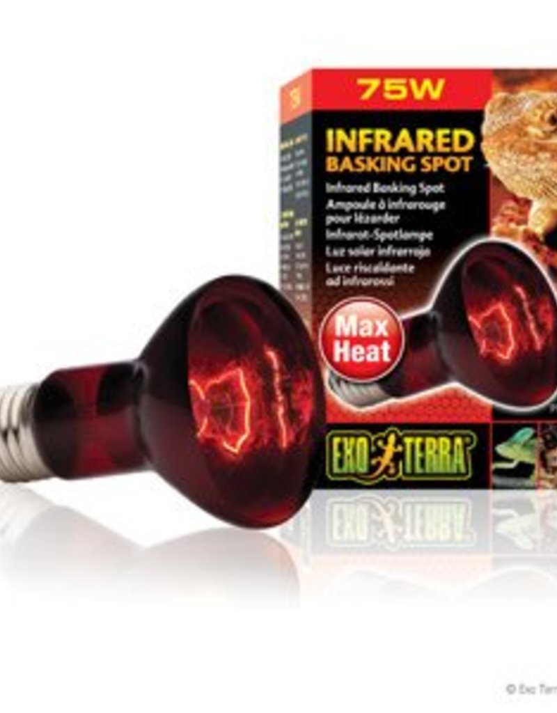 Exo Terra Exo Terra Infrared Basking Spot - R20 / 75W