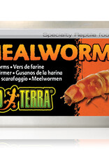 Exo Terra Exo Terra Canned Mealworms - 34 g (1.2 oz)