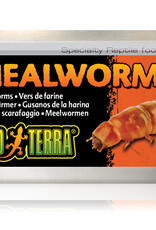 Exo Terra Exo Terra Mealworms - 34 g (1.2 oz)