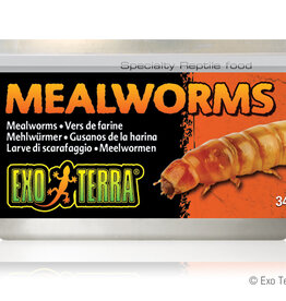 Exo Terra Exo Terra Mealworms - 34 g (1.2 oz)