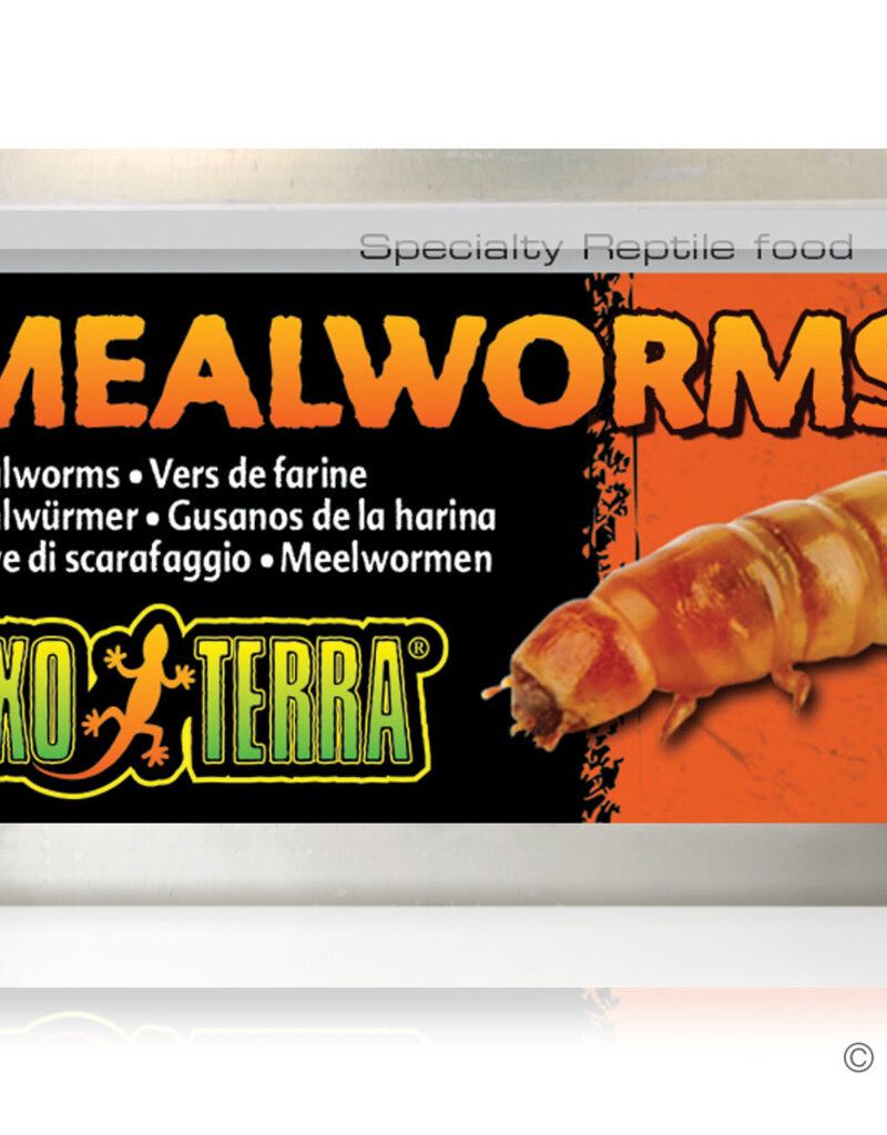 Exo Terra Exo Terra Canned Mealworms - 34 g (1.2 oz)