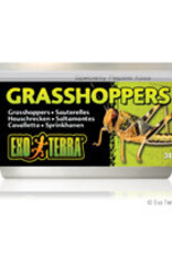 Exo Terra Exo Terra Grasshoppers 34g