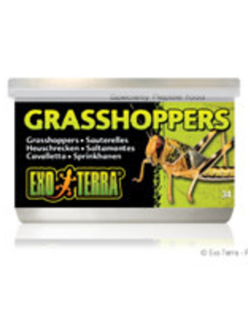 Exo Terra Exo Terra Grasshoppers 34g