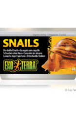 Exo Terra Exo Terra Canned Snails (House free) - 48 g (1.7 oz)