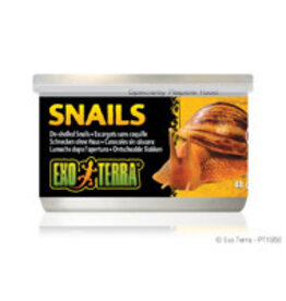Exo Terra Exo Terra Canned Snails (House free) - 48 g (1.7 oz)