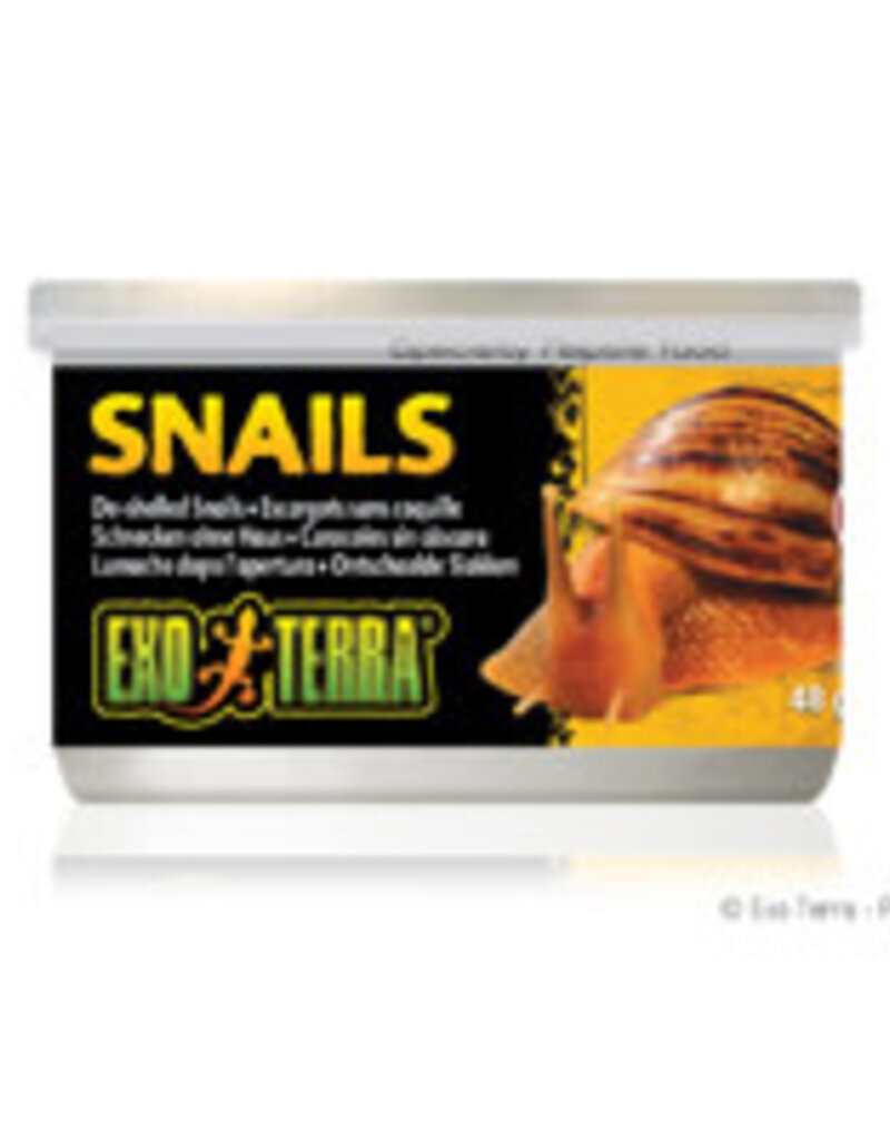 Exo Terra Exo Terra Canned Snails (House free) - 48 g (1.7 oz)