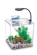 Nubios Nubios Desktop Betta Bowl - Square - NB-132S