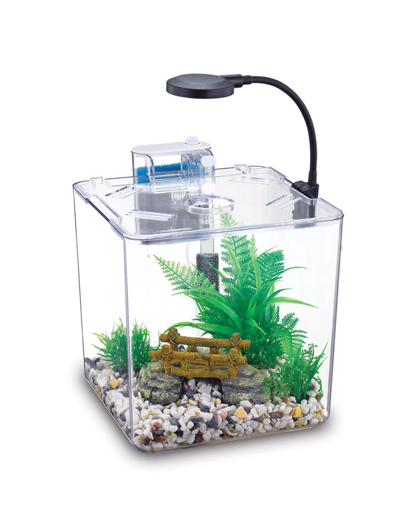 Nubios Nubios Desktop Betta Bowl - Square - NB-132S