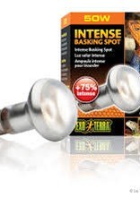 Exo Terra Exo Terra Intense Basking Spot - S20 / 50W