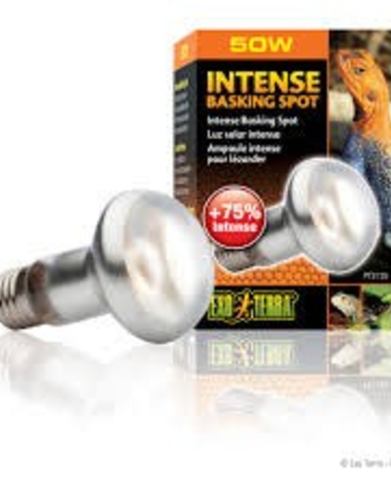 Exo Terra Exo Terra Intense Basking Spot - S20 / 50W
