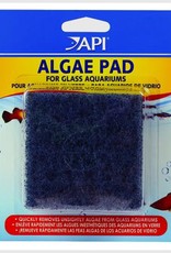 API API Algae Scraper Pad