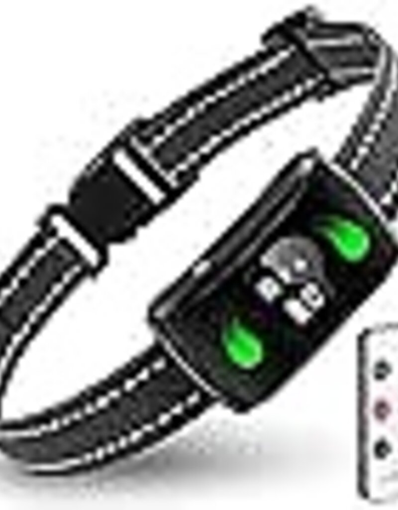 2 in 1 Remote Dog Training Collar Pet Central Limited