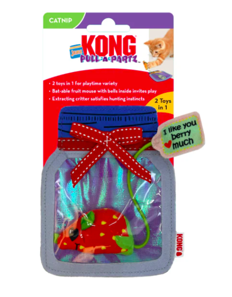 Kong Kong Cat Pull-A-Partz Jam - Assorted