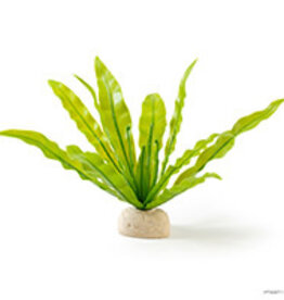 Exo Terra Exo Terra Bird's Nest Fern Plant