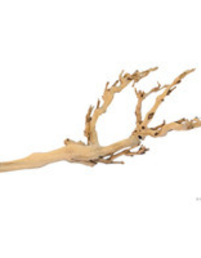 Exo Terra Exo Terra Forest Branch - Sandblasted Grapevine - Medium