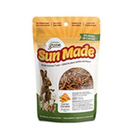 Living World Green Sun Made Small Animal Treats - Carrot - 20 g (0.7 oz