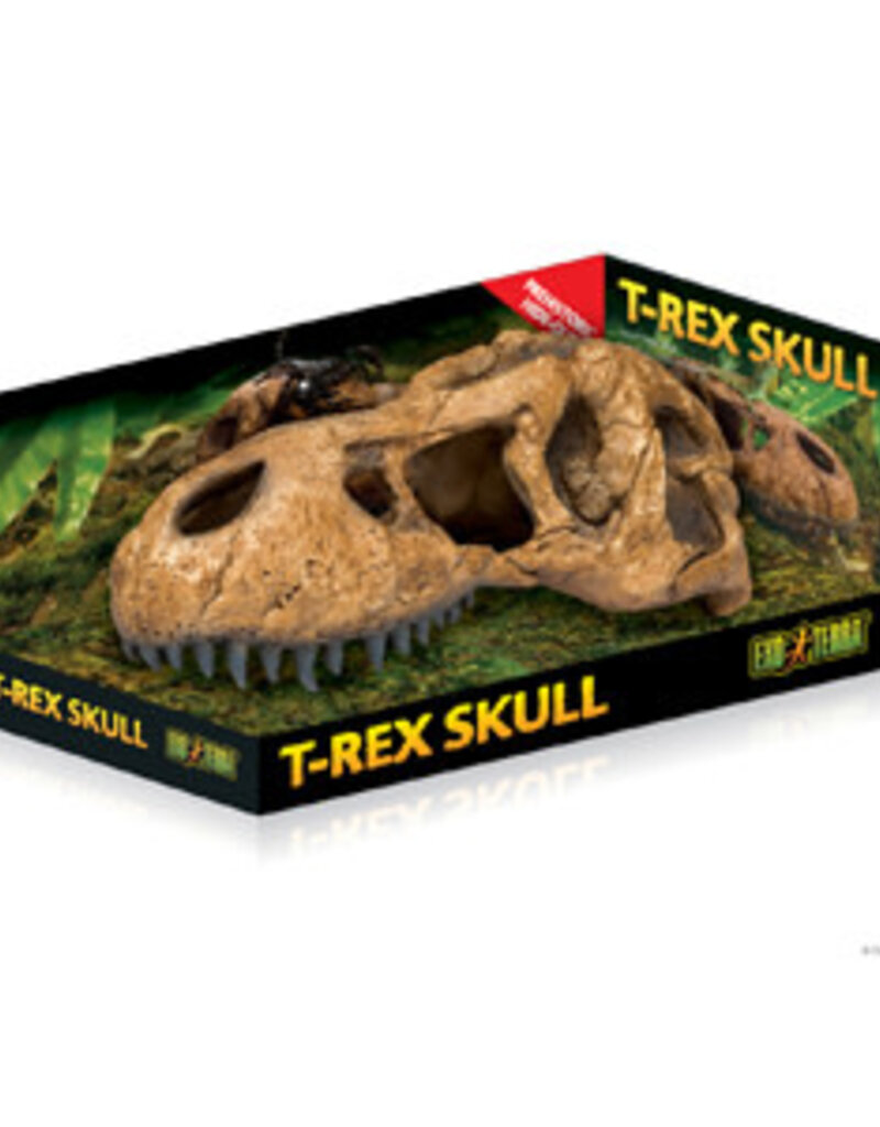 Exo Terra Exo Terra T-Rex Skull Fossil Hide Out