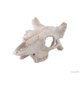 Exo Terra Exo Terra Buffalo Skull - Small