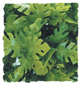 Zoo Med Zoo Med Amazonian Phyllo - Large