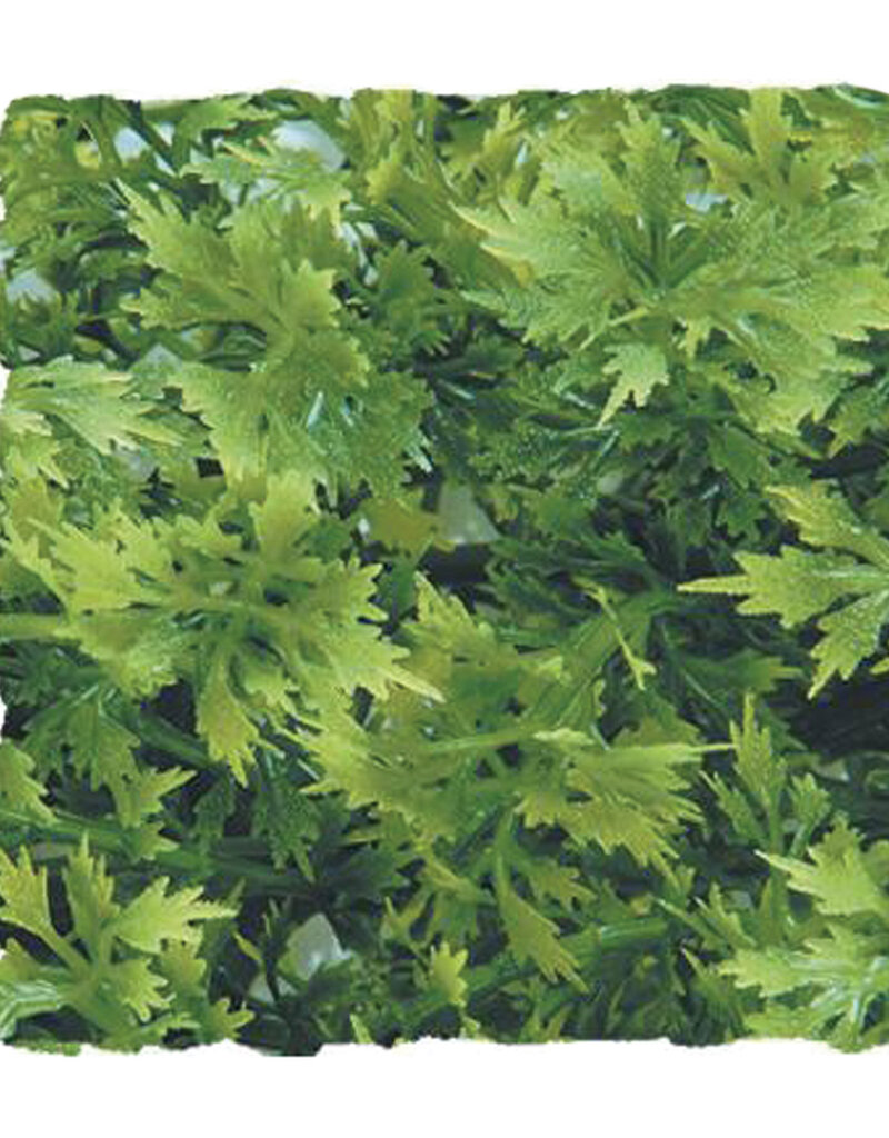 Zoo Med Zoo Med Australian Maple - Small