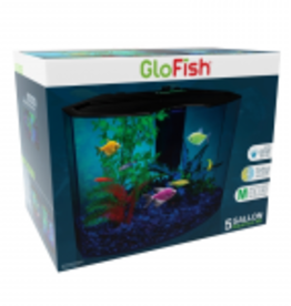 GloFish Crescent Aquarium Kit - 5 Gal