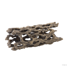 Exo Terra Exo Terra Cholla Cactus Skeleton - Medium
