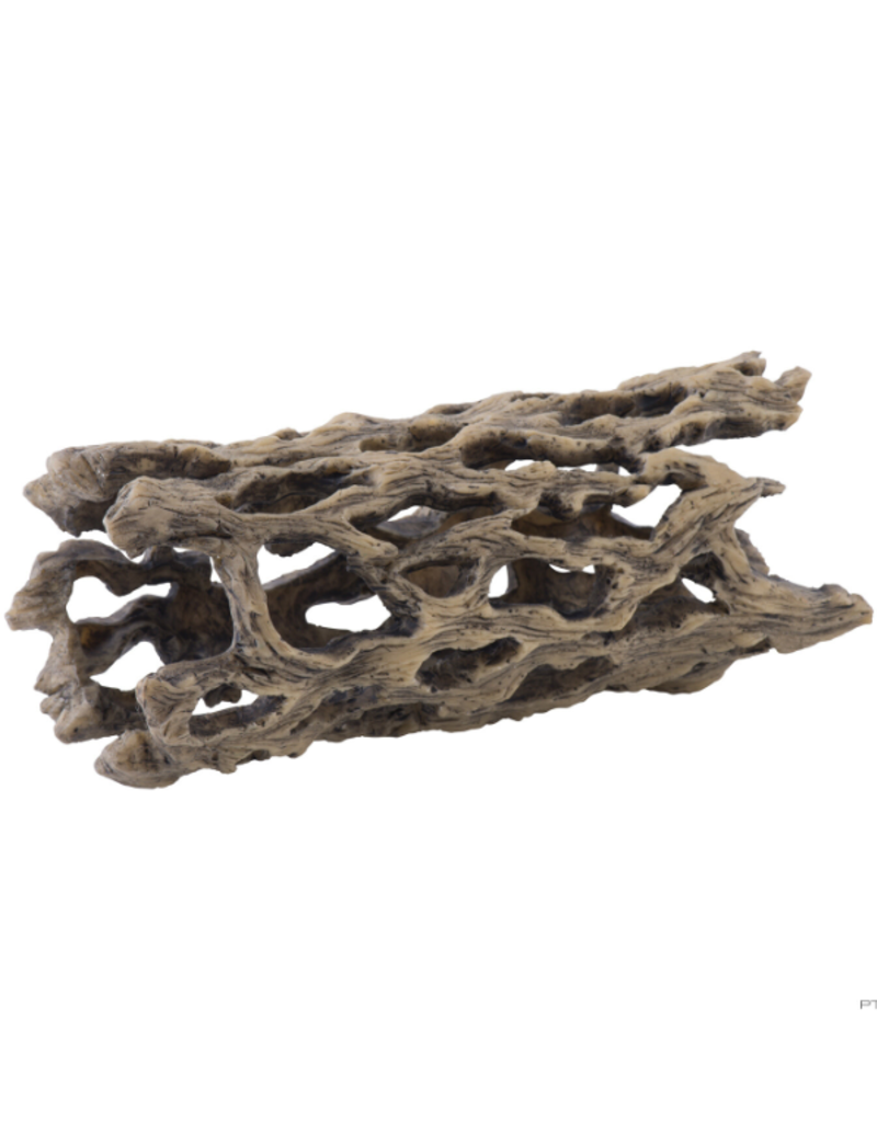 Exo Terra Exo Terra Cholla Cactus Skeleton - Medium