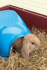 savic Savic Maison Cocoon (Rabbit, Guinea Pig, Rats)